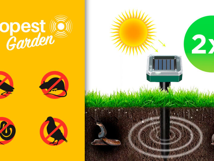 Ecopest Garden repellente innovativo: come si utilizza e installa? Acquisto, recensioni clienti e prezzo
